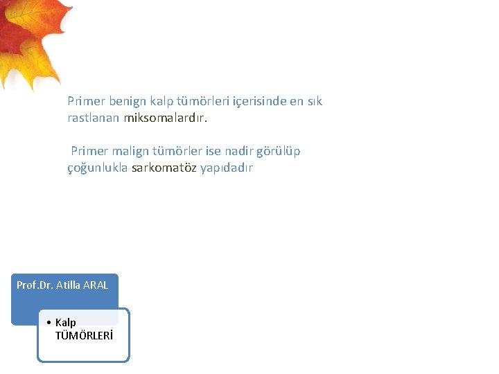  Primer benign kalp tümörleri içerisinde en sık rastlanan miksomalardır. Primer malign tümörler ise