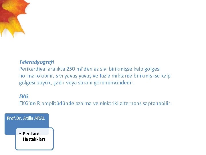  Teleradyografi Perikardiyal aralıkta 250 ml’den az sıvı birikmişse kalp gölgesi normal olabilir, sıvı