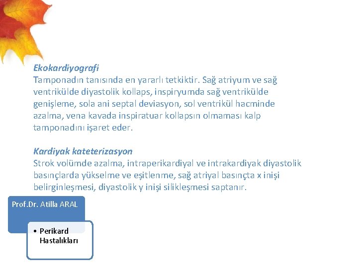  Ekokardiyografi Tamponadın tanısında en yararlı tetkiktir. Sağ atriyum ve sağ ventrikülde diyastolik kollaps,