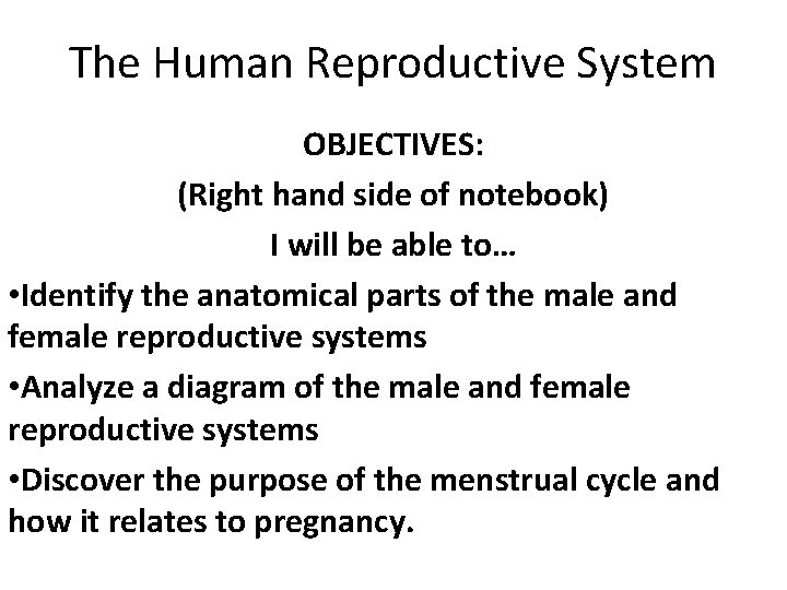 The Human Reproductive System OBJECTIVES: (Right hand side of notebook) I will be able