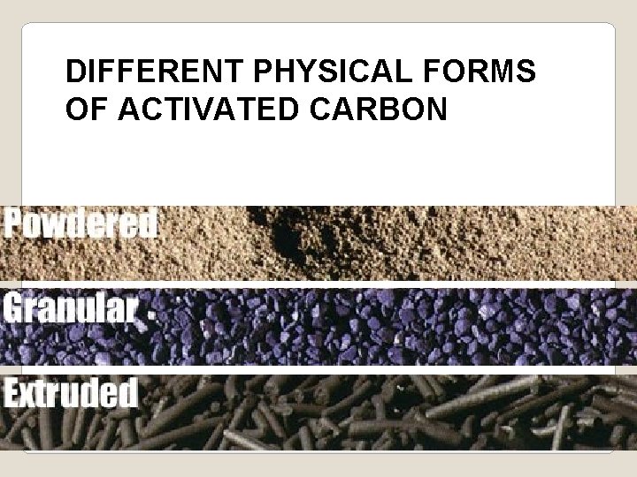 DIFFERENT PHYSICAL FORMS OF ACTIVATED CARBON 