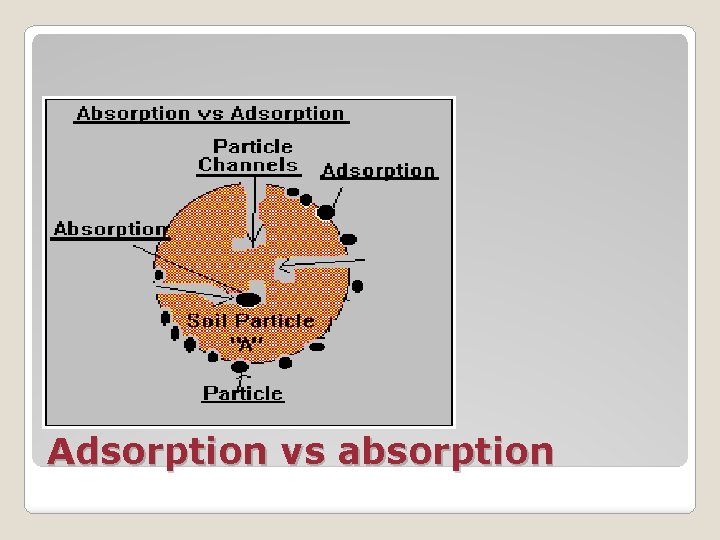 Adsorption vs absorption 