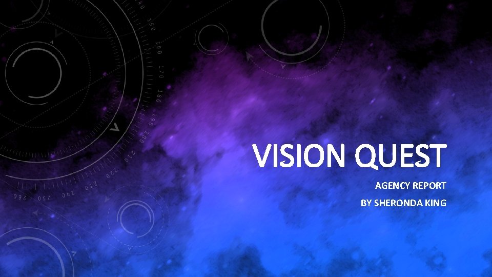 VISION QUEST AGENCY REPORT BY SHERONDA KING 