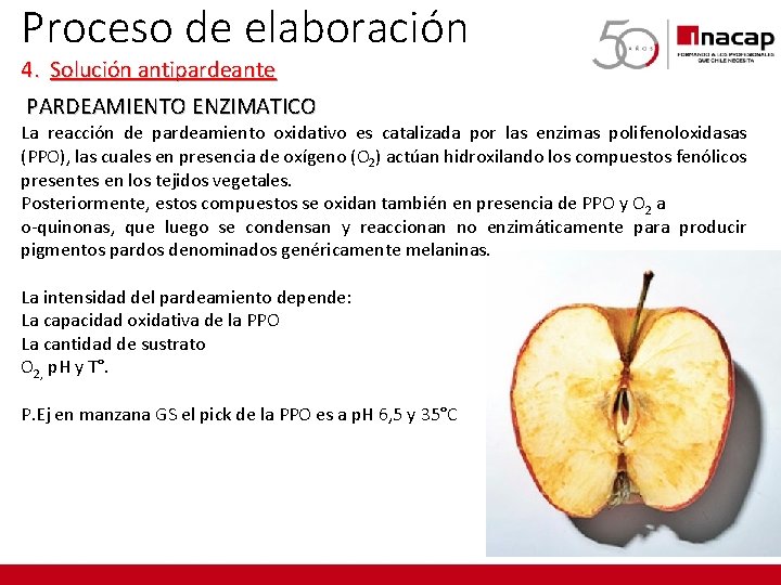 Proceso de elaboración 4. Solución antipardeante PARDEAMIENTO ENZIMATICO La reacción de pardeamiento oxidativo es