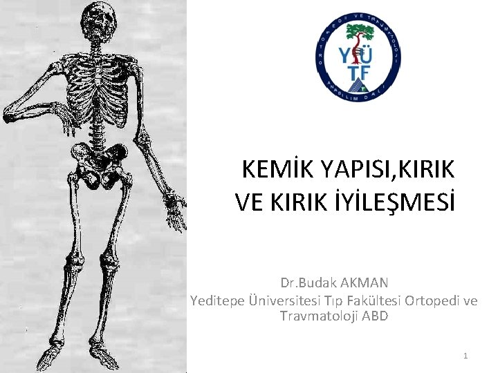 KEMİK YAPISI, KIRIK VE KIRIK İYİLEŞMESİ Dr. Budak AKMAN Yeditepe Üniversitesi Tıp Fakültesi Ortopedi
