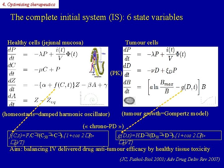 4. Optimising therapeutics The complete initial system (IS): 6 state variables Healthy cells (jejunal