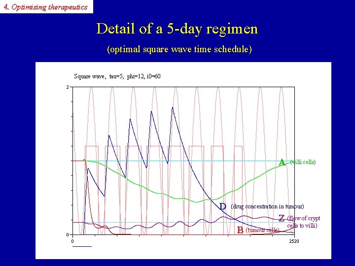 4. Optimising therapeutics Detail of a 5 -day regimen (optimal square wave time schedule)