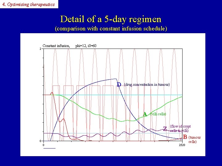 4. Optimising therapeutics Detail of a 5 -day regimen (comparison with constant infusion schedule)