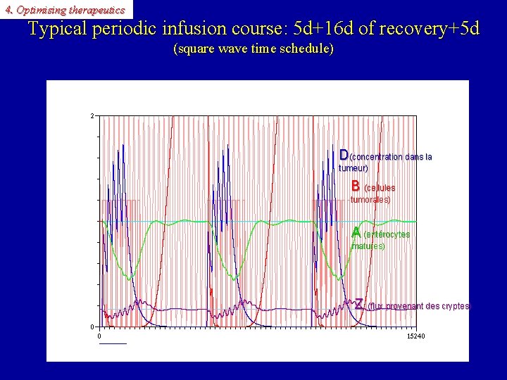 4. Optimising therapeutics Typical periodic infusion course: 5 d+16 d of recovery+5 d (square
