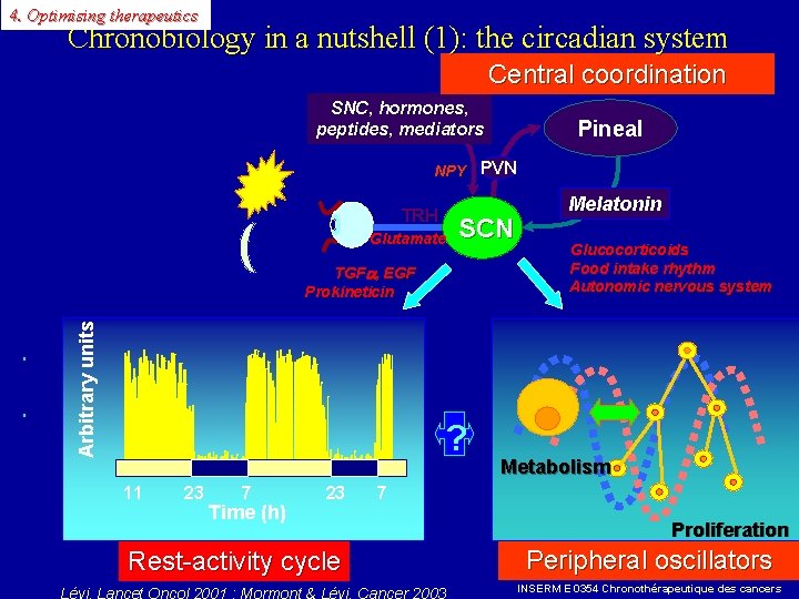 4. Optimising therapeutics Chronobiology in a nutshell (1): the circadian system Central coordination SNC,