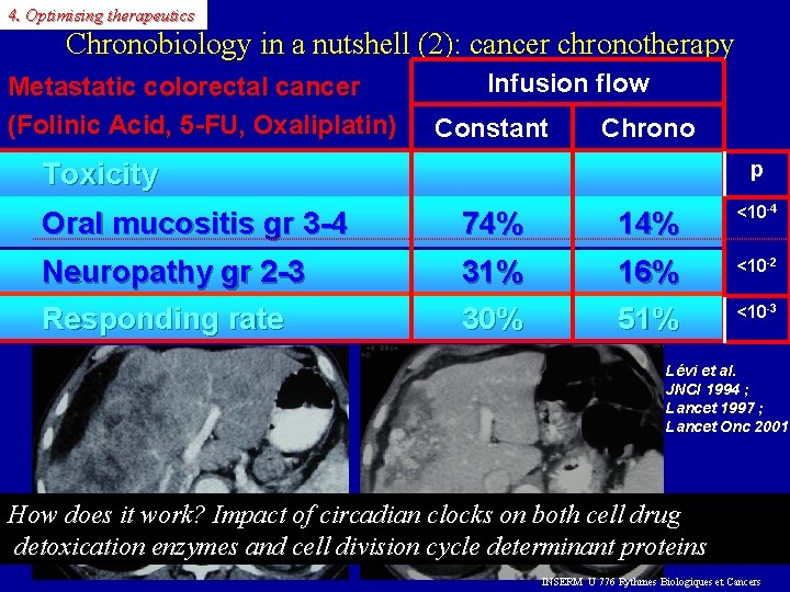4. Optimising therapeutics Chronobiology in a nutshell (2): cancer chronotherapy Metastatic colorectal cancer (Folinic