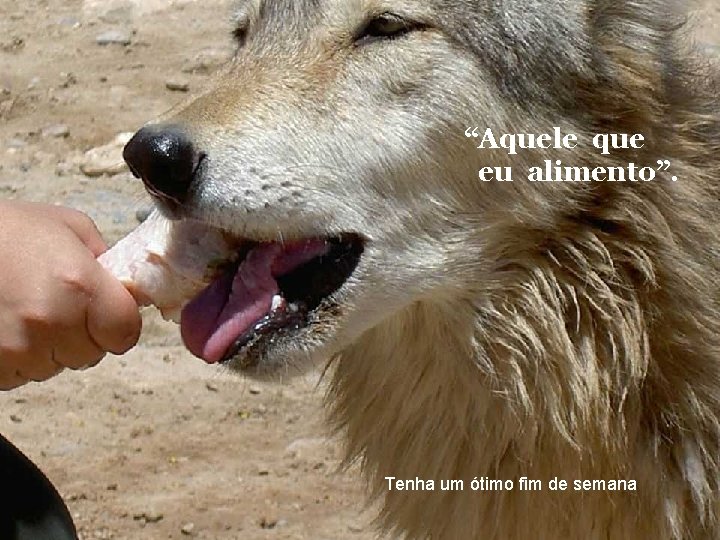 “Aquele que eu alimento”. Tenha um ótimo fim de semana 