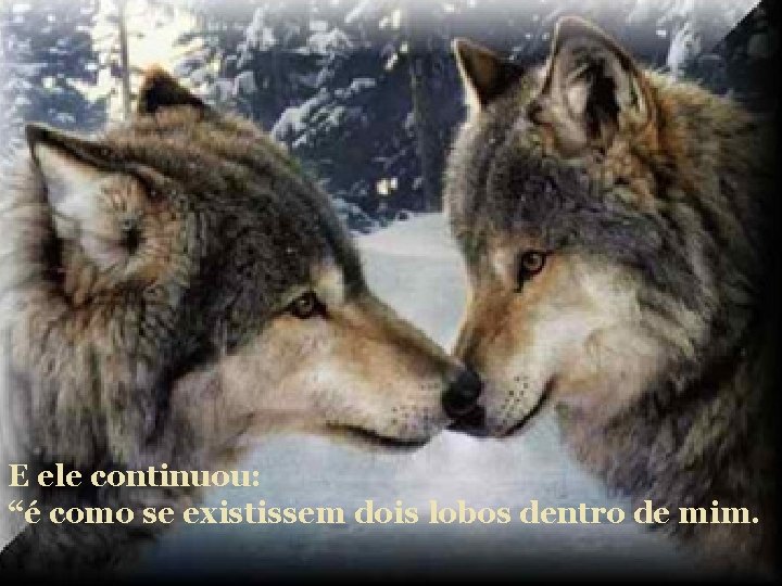 E ele continuou: “é como se existissem dois lobos dentro de mim. 