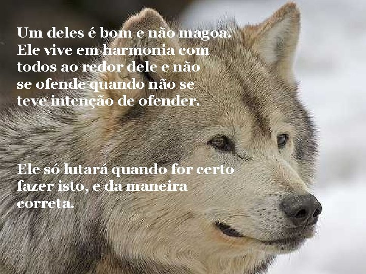 Um deles é bom e não magoa. Ele vive em harmonia com todos ao