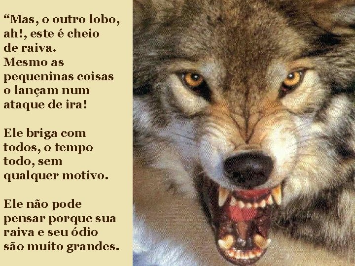 “Mas, o outro lobo, ah!, este é cheio de raiva. Mesmo as pequeninas coisas