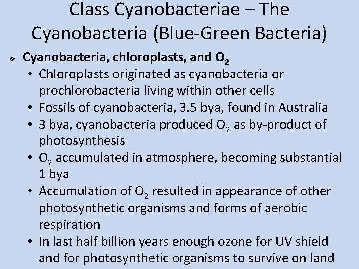 Class Cyanobacteriae – The Cyanobacteria (Blue-Green Bacteria) v Cyanobacteria, chloroplasts, and O 2 •