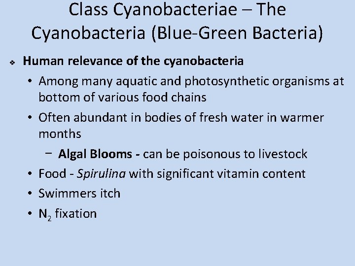 Class Cyanobacteriae – The Cyanobacteria (Blue-Green Bacteria) v Human relevance of the cyanobacteria •