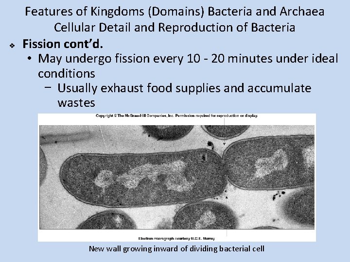 v Features of Kingdoms (Domains) Bacteria and Archaea Cellular Detail and Reproduction of Bacteria