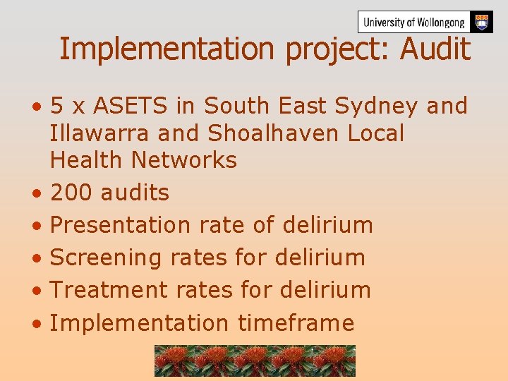 Implementation project: Audit • 5 x ASETS in South East Sydney and Illawarra and