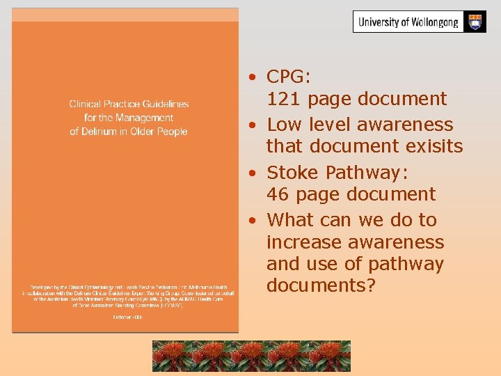  • CPG: 121 page document • Low level awareness that document exisits •