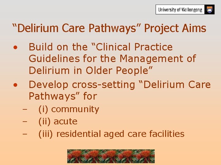 “Delirium Care Pathways” Project Aims • Build on the “Clinical Practice Guidelines for the