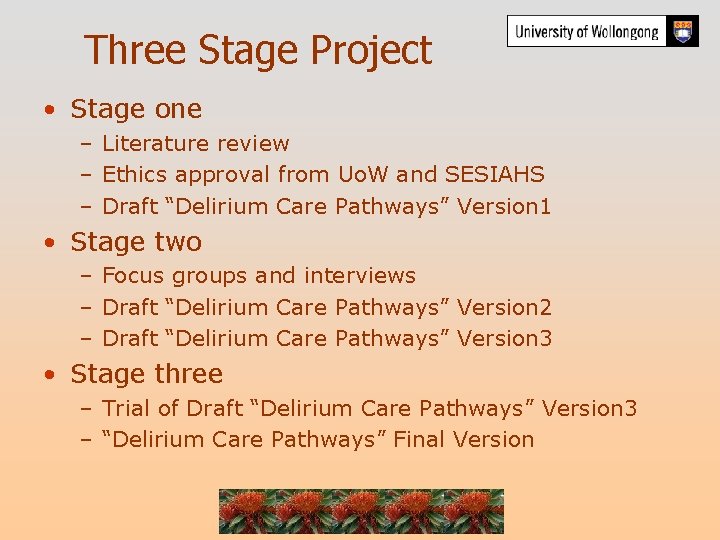 Three Stage Project • Stage one – Literature review – Ethics approval from Uo.