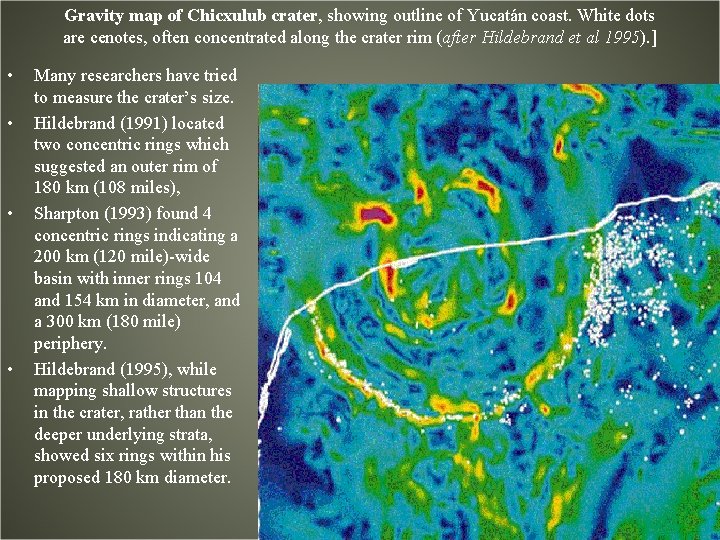 Gravity map of Chicxulub crater, showing outline of Yucatán coast. White dots are cenotes,