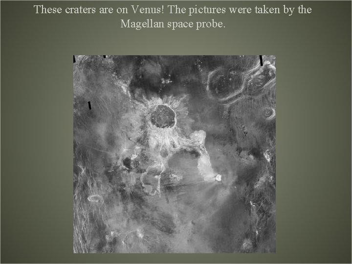 These craters are on Venus! The pictures were taken by the Magellan space probe.