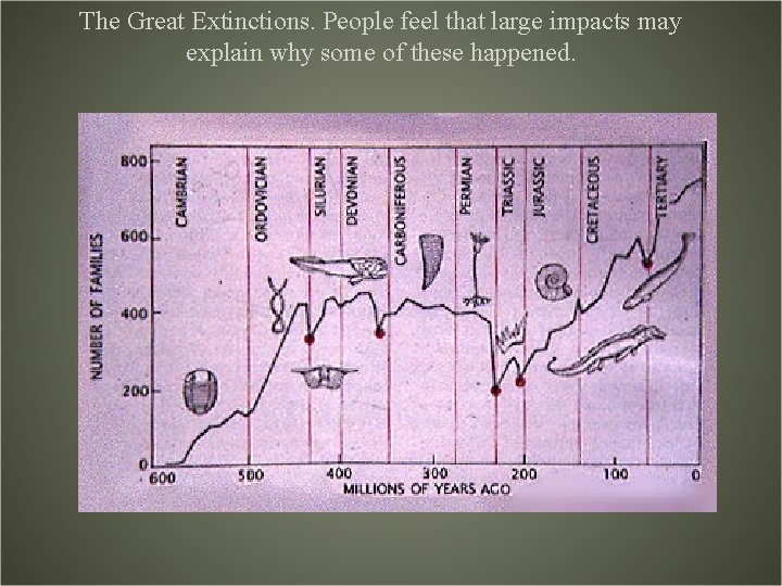 The Great Extinctions. People feel that large impacts may explain why some of these