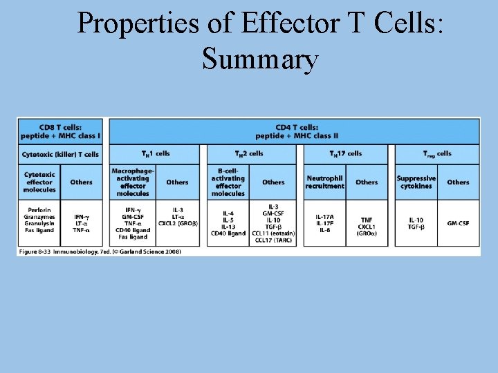 Properties of Effector T Cells: Summary 