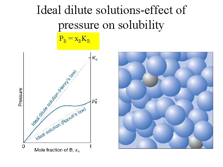 Ideal dilute solutions-effect of pressure on solubility PB = x. BKB 