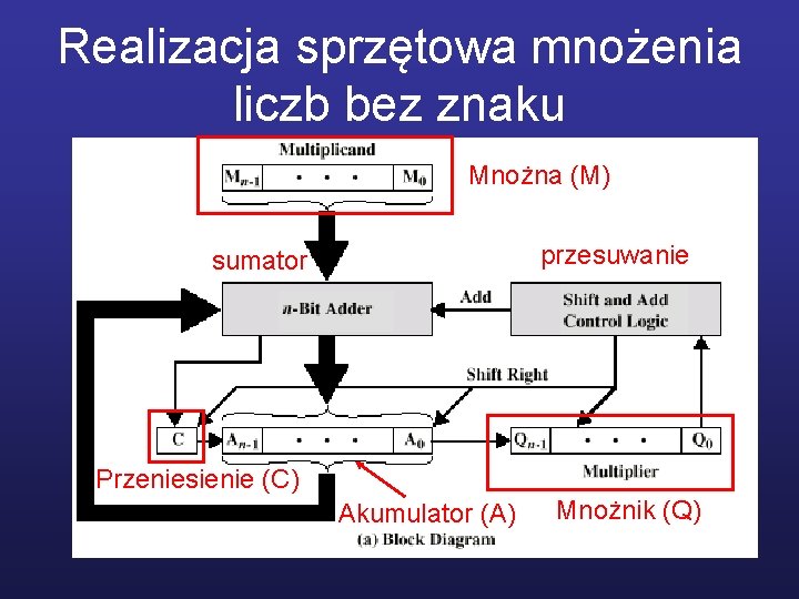 Realizacja sprzętowa mnożenia liczb bez znaku Mnożna (M) przesuwanie sumator Przeniesienie (C) Akumulator (A)