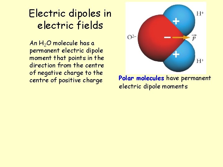 Electric dipoles in electric fields An H 2 O molecule has a permanent electric