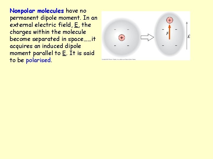 Nonpolar molecules have no permanent dipole moment. In an external electric field, E, the