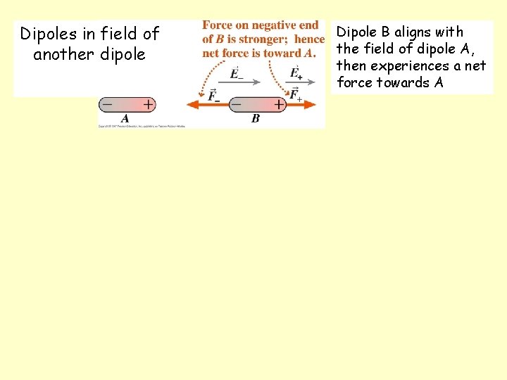 Dipoles in field of another dipole Dipole B aligns with the field of dipole Dipoles in field of another dipole Dipole B aligns with the field of dipole