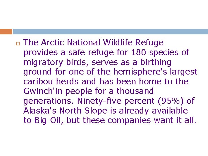  The Arctic National Wildlife Refuge provides a safe refuge for 180 species of