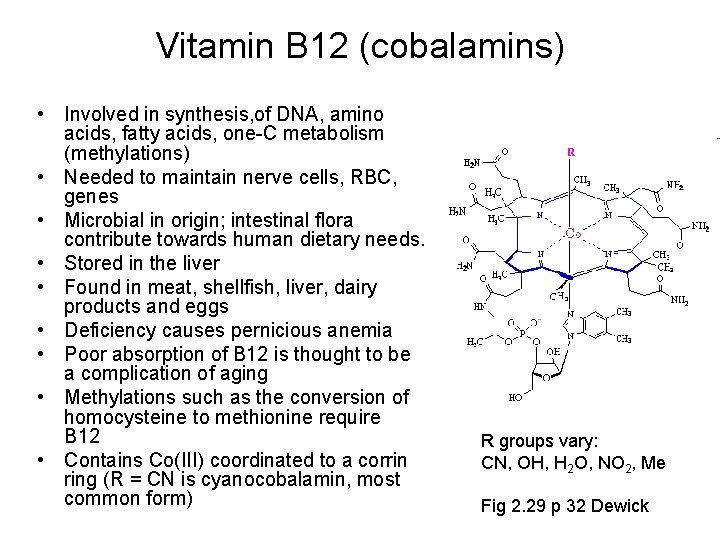 Vitamin B 12 (cobalamins) • Involved in synthesis, of DNA, amino acids, fatty acids,