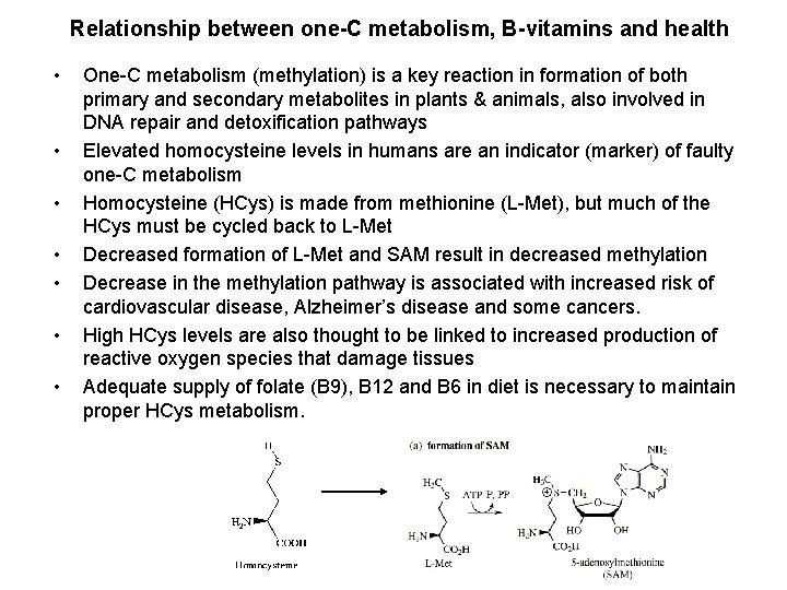 Relationship between one-C metabolism, B-vitamins and health • • One-C metabolism (methylation) is a