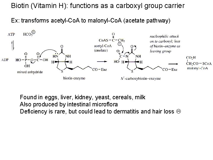 Biotin (Vitamin H): functions as a carboxyl group carrier Ex: transforms acetyl-Co. A to
