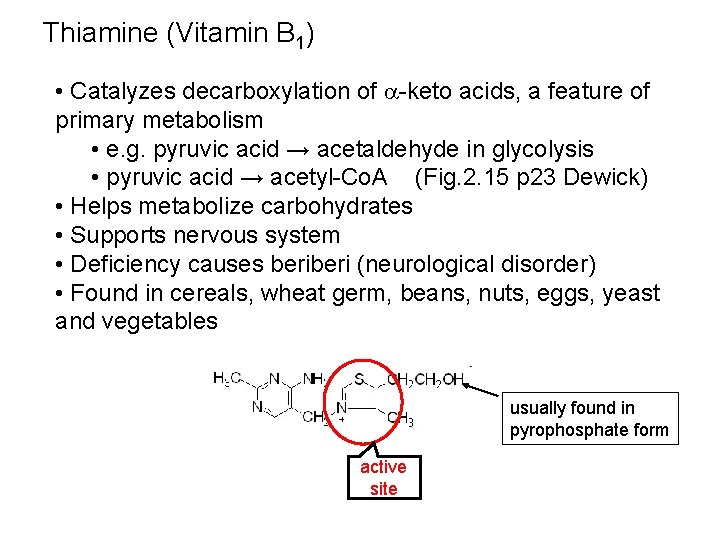 Thiamine (Vitamin B 1) • Catalyzes decarboxylation of a-keto acids, a feature of primary