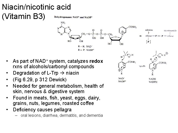 Niacin/nicotinic acid (Vitamin B 3) • As part of NAD+ system, catalyzes redox rxns