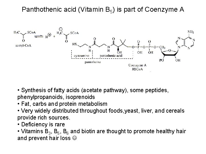 Panthothenic acid (Vitamin B 5) is part of Coenzyme A • Synthesis of fatty