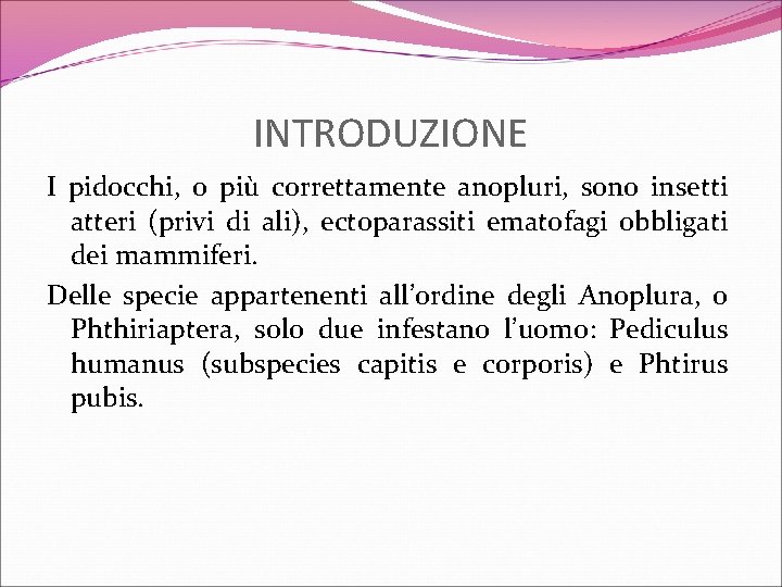 INTRODUZIONE I pidocchi, o più correttamente anopluri, sono insetti atteri (privi di ali), ectoparassiti