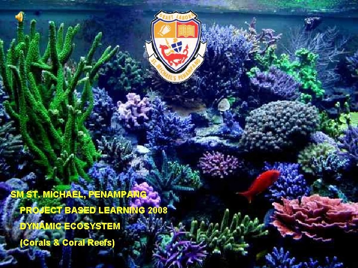 SM ST. MICHAEL, PENAMPANG PROJECT BASED LEARNING 2008 DYNAMIC ECOSYSTEM (Corals & Coral Reefs) SM ST. MICHAEL, PENAMPANG PROJECT BASED LEARNING 2008 DYNAMIC ECOSYSTEM (Corals & Coral Reefs)