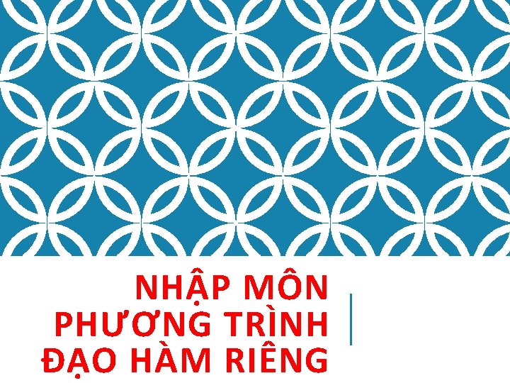 NHẬP MÔN PHƯƠNG TRÌNH ĐẠO HÀM RIÊNG NHẬP MÔN PHƯƠNG TRÌNH ĐẠO HÀM RIÊNG