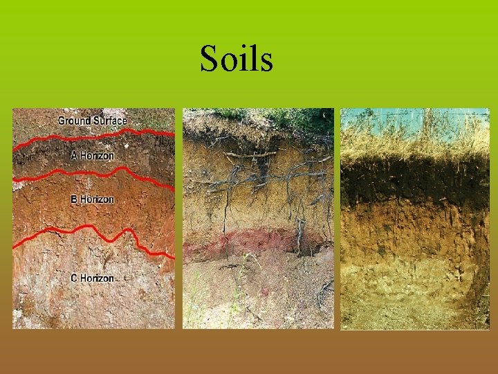 Soils 