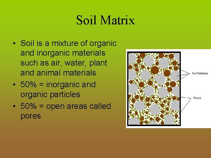 Soil Matrix • Soil is a mixture of organic and inorganic materials such as