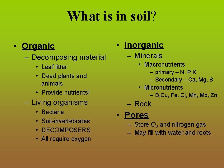 What is in soil? • Organic – Decomposing material • Leaf litter • Dead