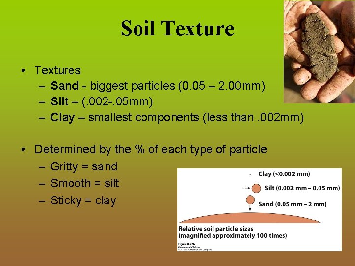 Soil Texture • Textures – Sand - biggest particles (0. 05 – 2. 00