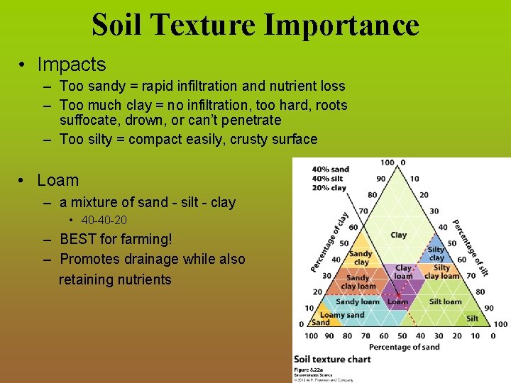 Soil Texture Importance • Impacts – Too sandy = rapid infiltration and nutrient loss